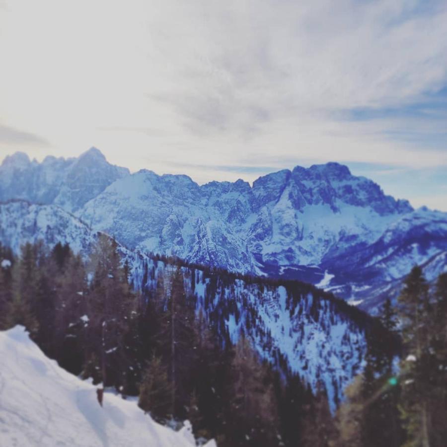 Bed and Breakfast Al Sentiero Di Charly Tarvisio Exterior foto